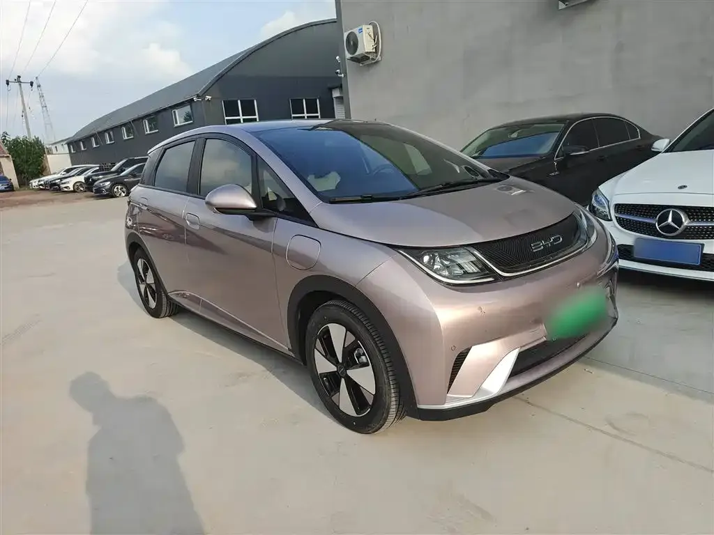 BYD Dolphin 2023 из CN, фото 5