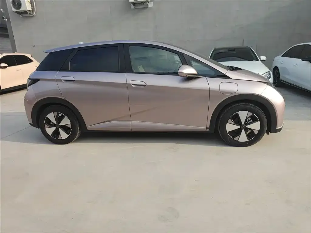BYD Dolphin 2023 из CN, фото 6
