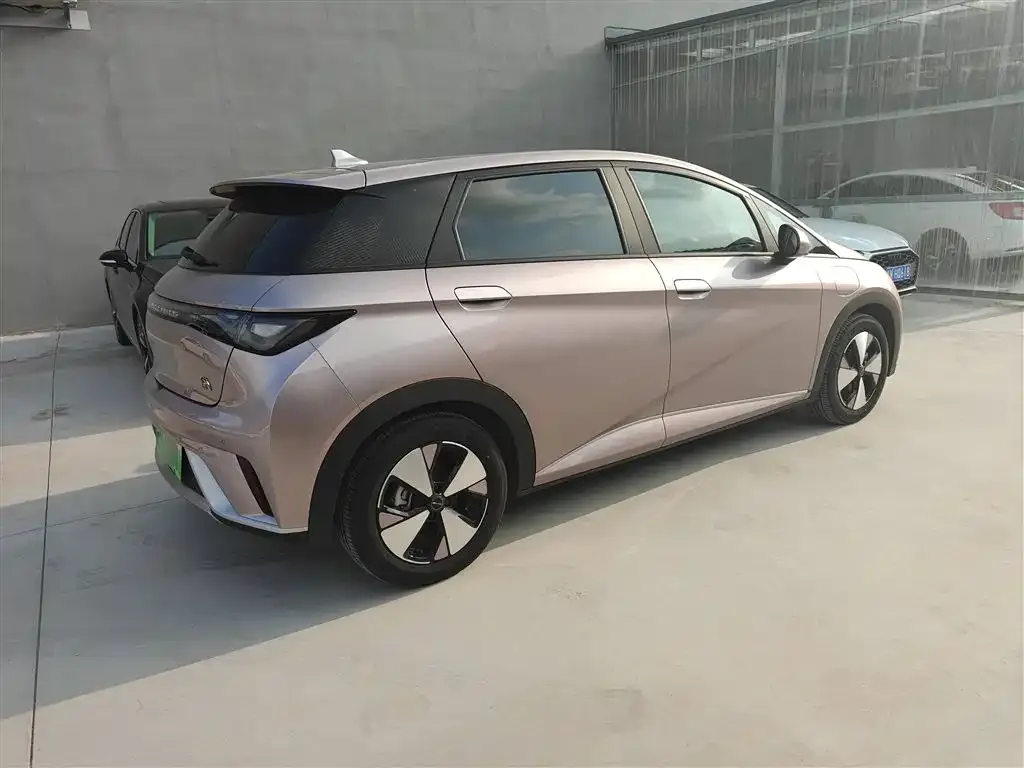 BYD Dolphin 2023 из CN, фото 8
