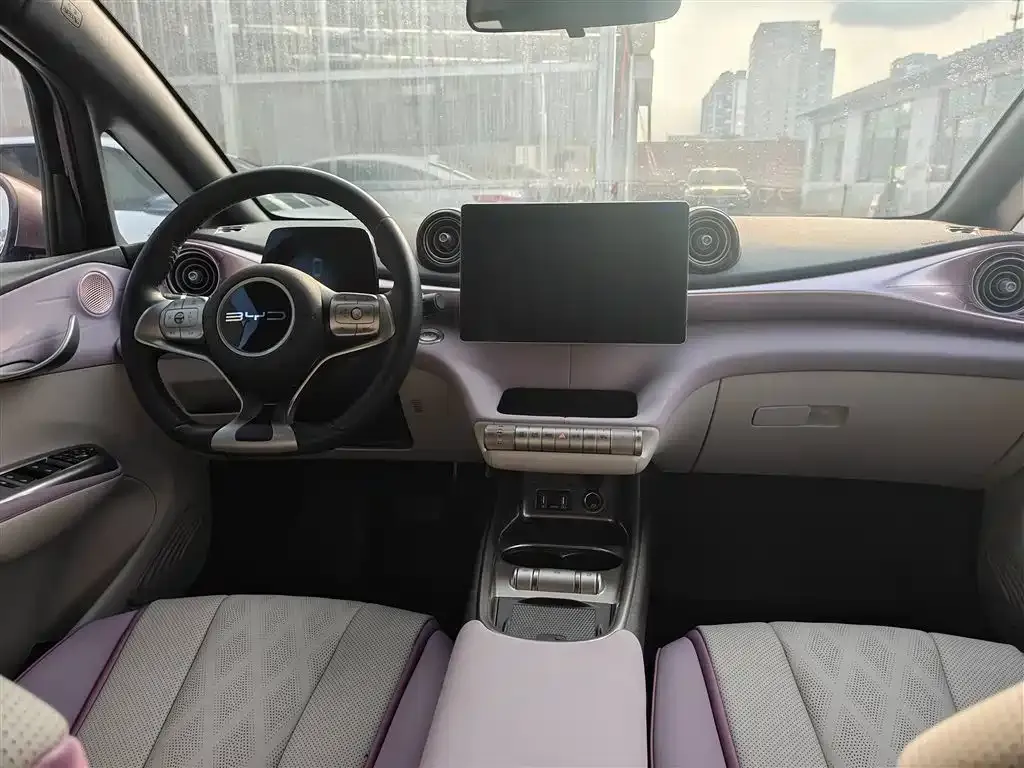 BYD Dolphin 2023 из CN, фото 9