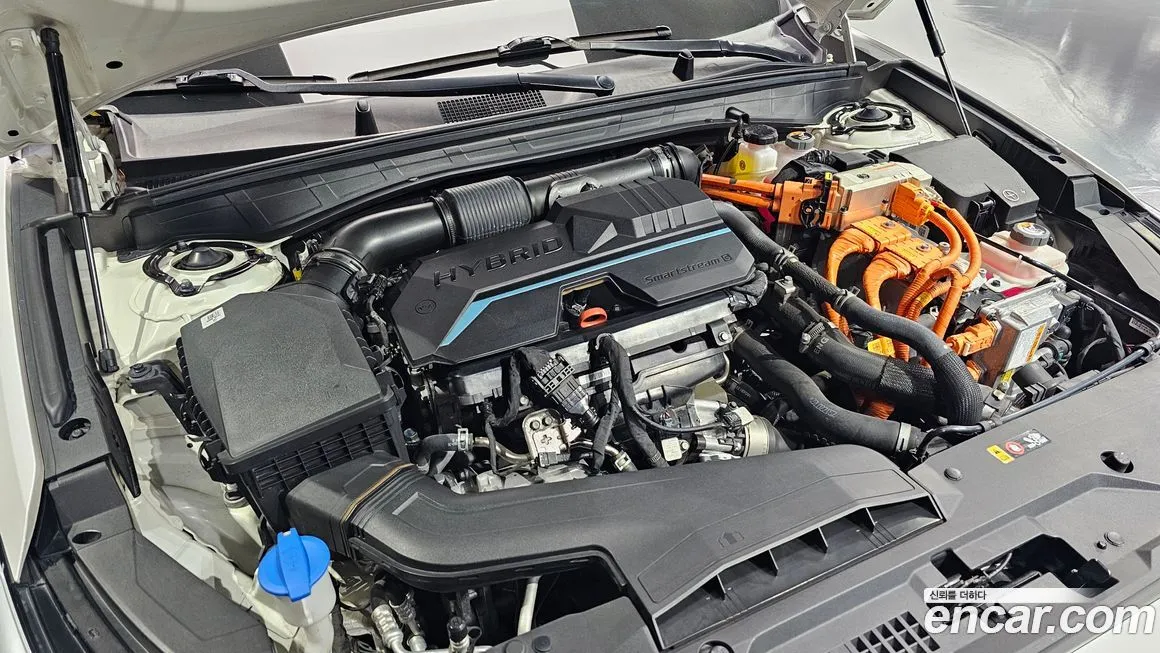 [object Object] K8 2023 из KR, фото 6