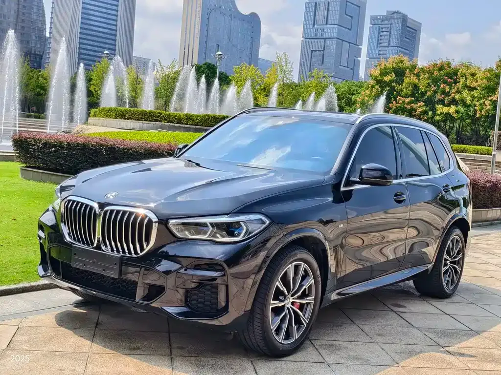 BMW X5 (Import) 2022 из CN, фото 1