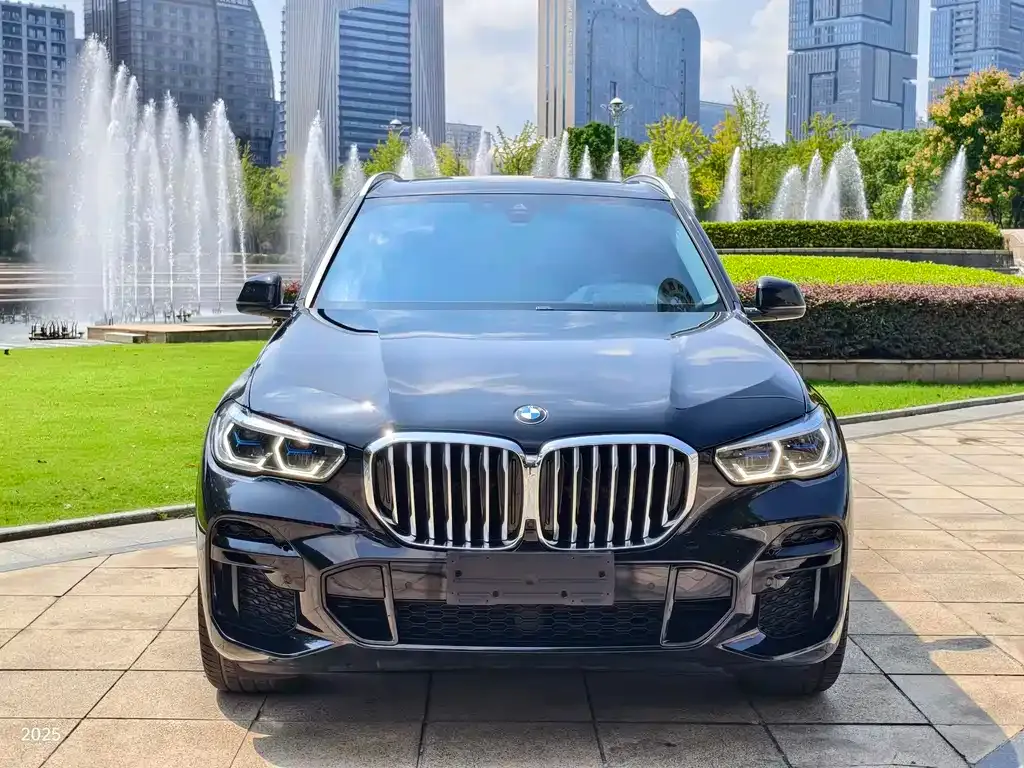 BMW X5 (Import) 2022 из CN, фото 2