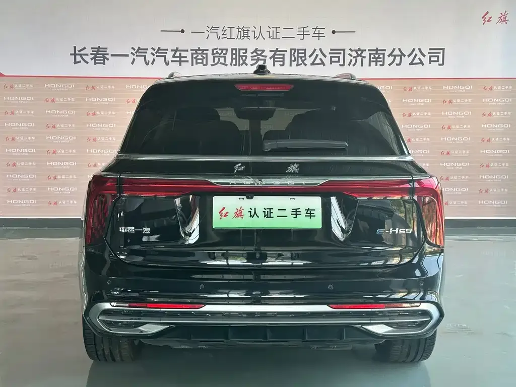 Hongqi E-HS9 — фото 3