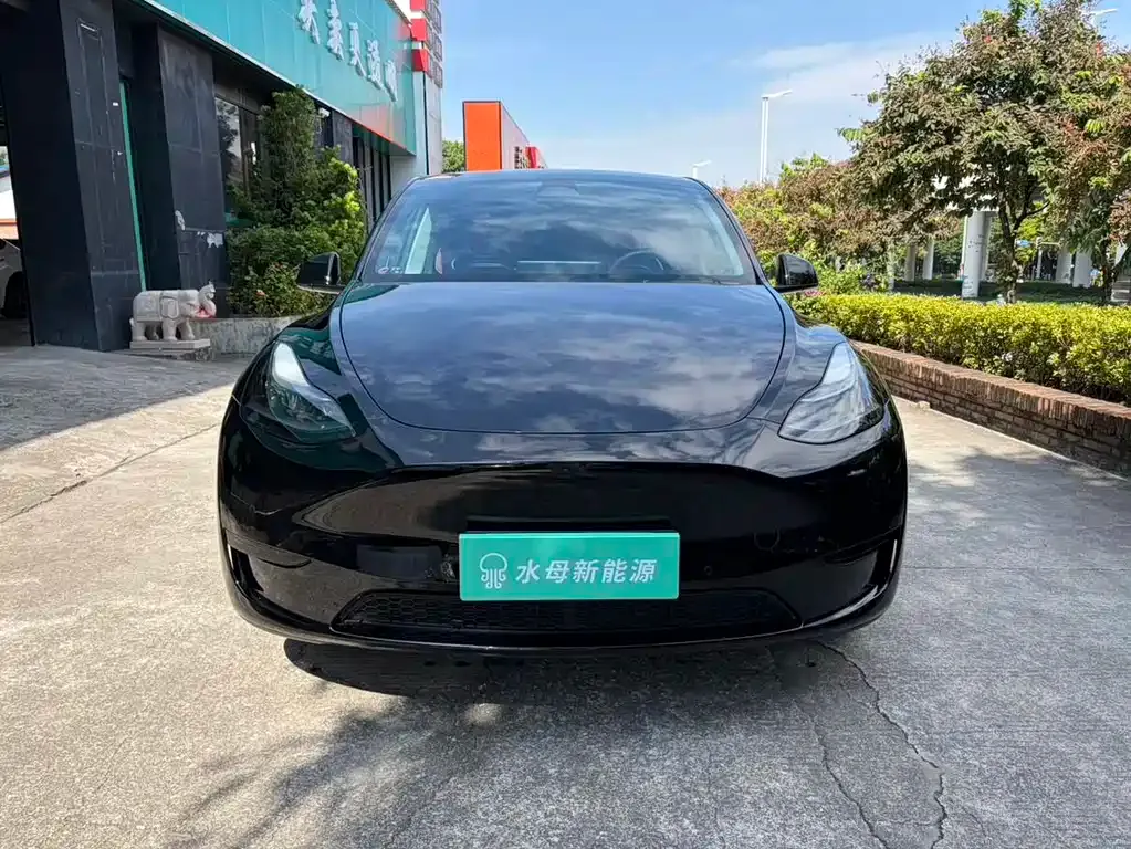 Tesla Model Y 2024 из CN, фото 2