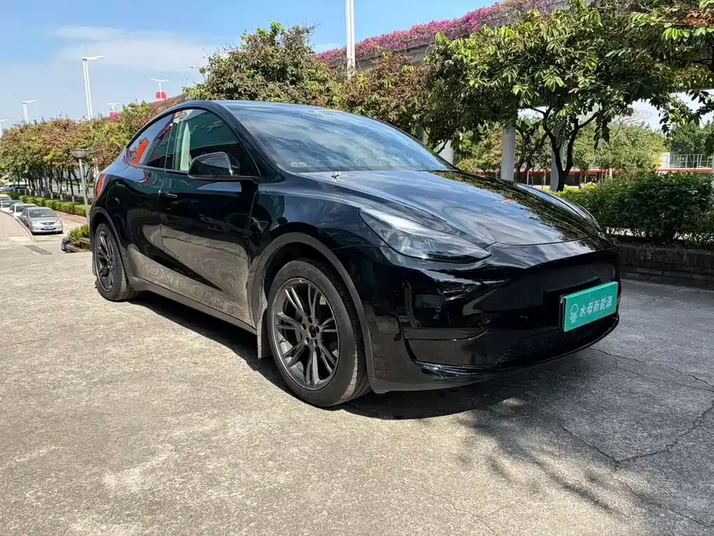 Tesla Model Y 2024 из CN, фото 3