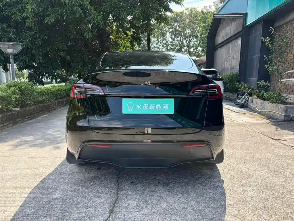 Tesla Model Y 2024 из CN, фото 5