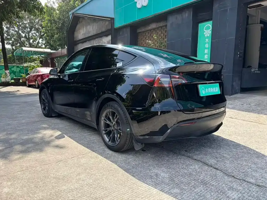 Tesla Model Y 2024 из CN, фото 6