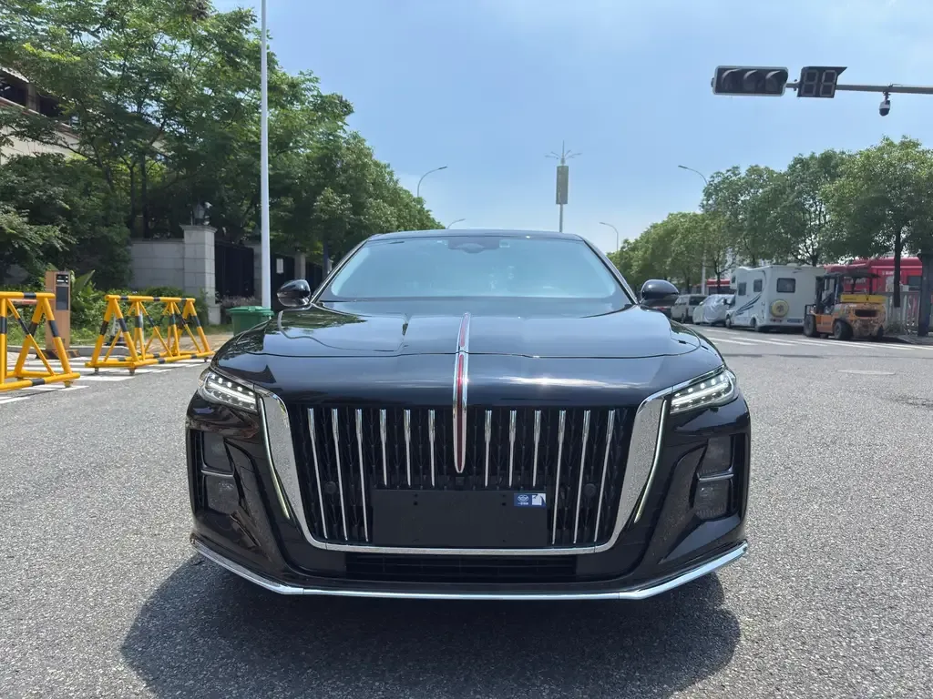 Hongqi H5 2023 из CN, фото 2