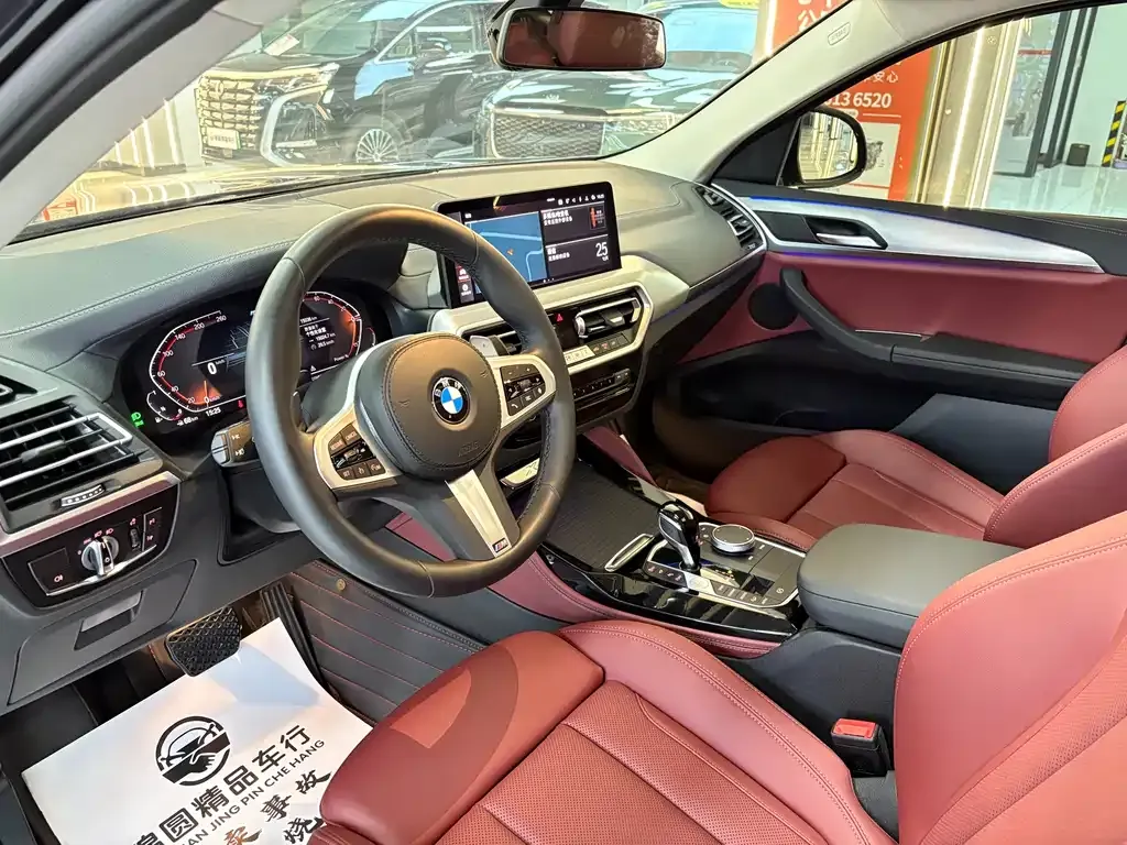 BMW X4 2024 из CN, фото 10