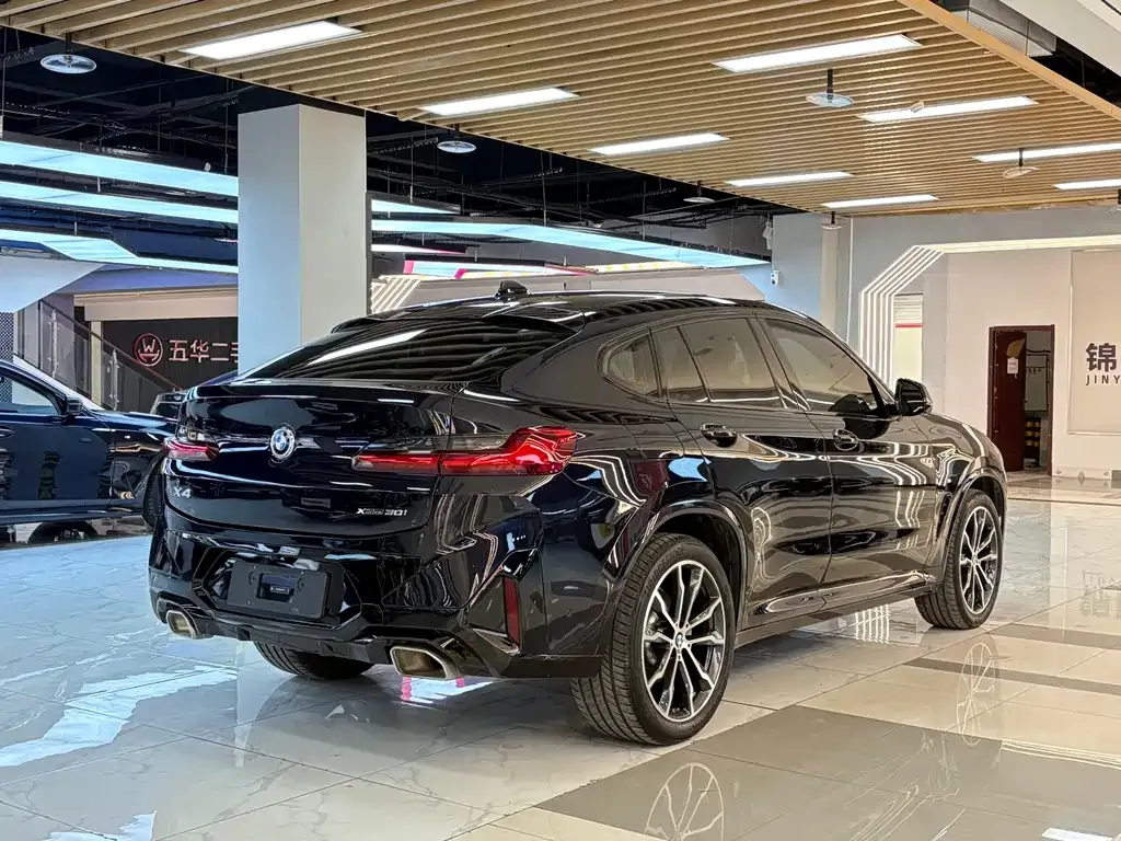BMW X4 2024 из CN, фото 5
