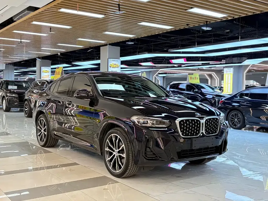 BMW X4 2024 из CN, фото 7