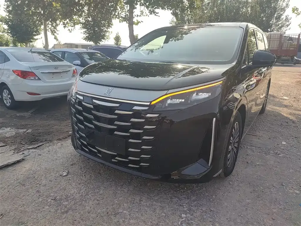 BYD Xia 2025 из CN, фото 2