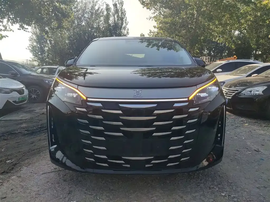 BYD Xia 2025 из CN, фото 3