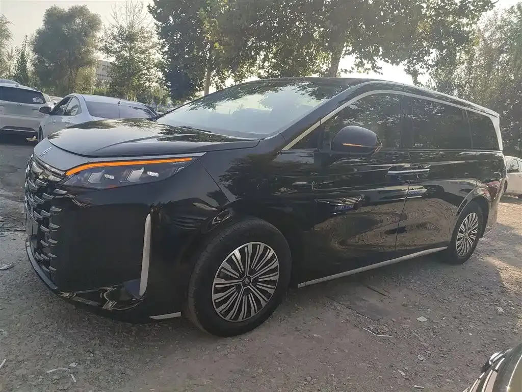 BYD Xia 2025 из CN, фото 5