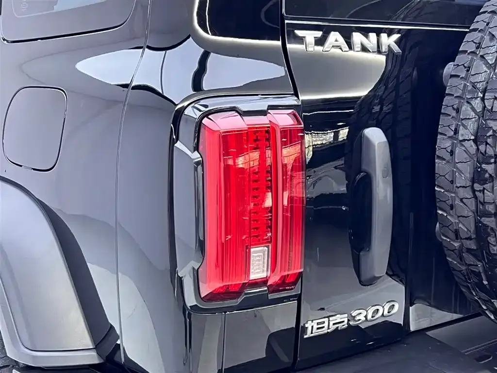 Tank 300 2022 из CN, фото 10