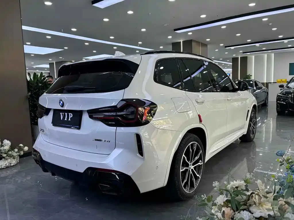 BMW X3 2022 из CN, фото 9
