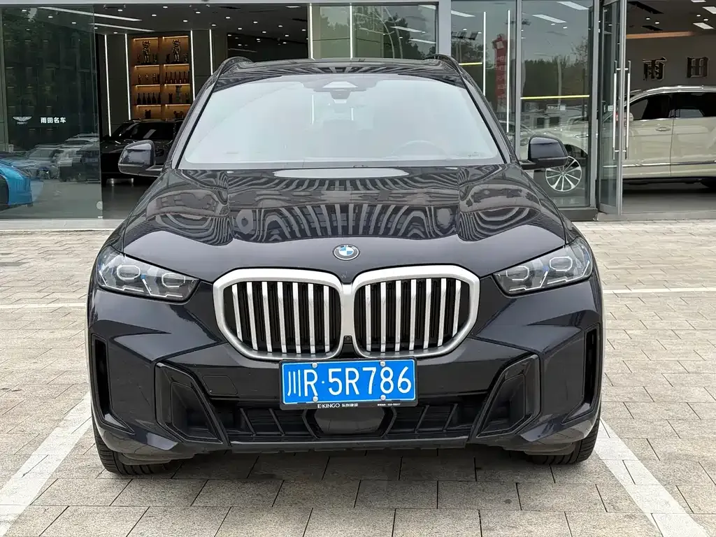 BMW X5 2023 из CN, фото 2