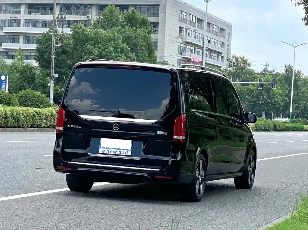 Mercedes-Benz V-Class 2021 из CN, фото 3
