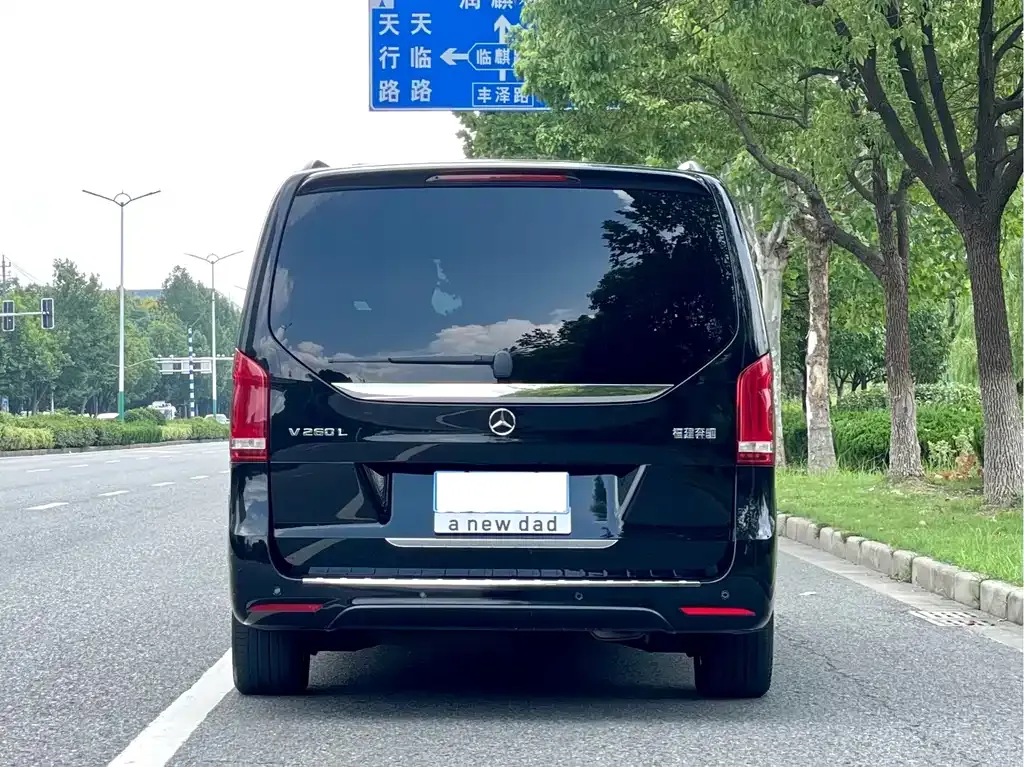 Mercedes-Benz V-Class 2021 из CN, фото 4