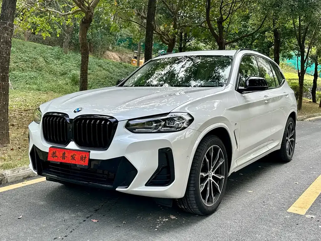 BMW X3 — фото 1