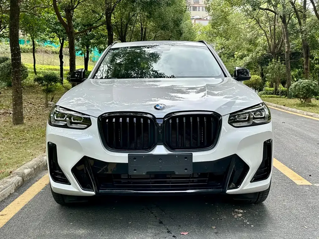 BMW X3 — фото 2