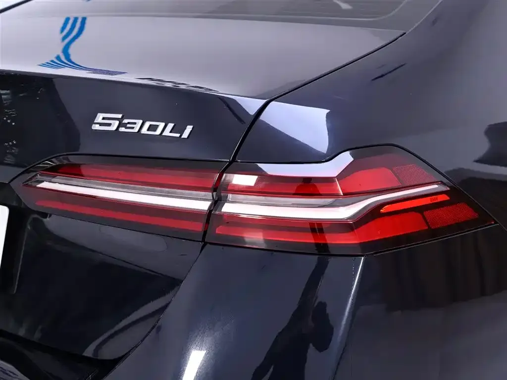 BMW 5 Series 2025 из CN, фото 9