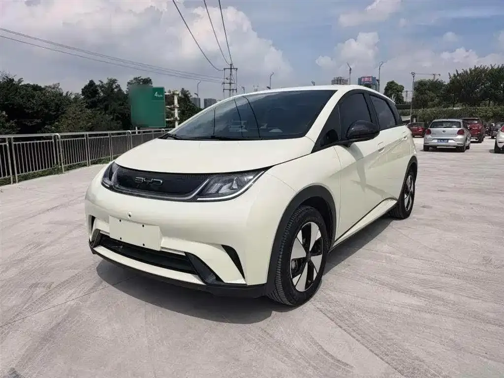 BYD Dolphin 2024 из CN, фото 1