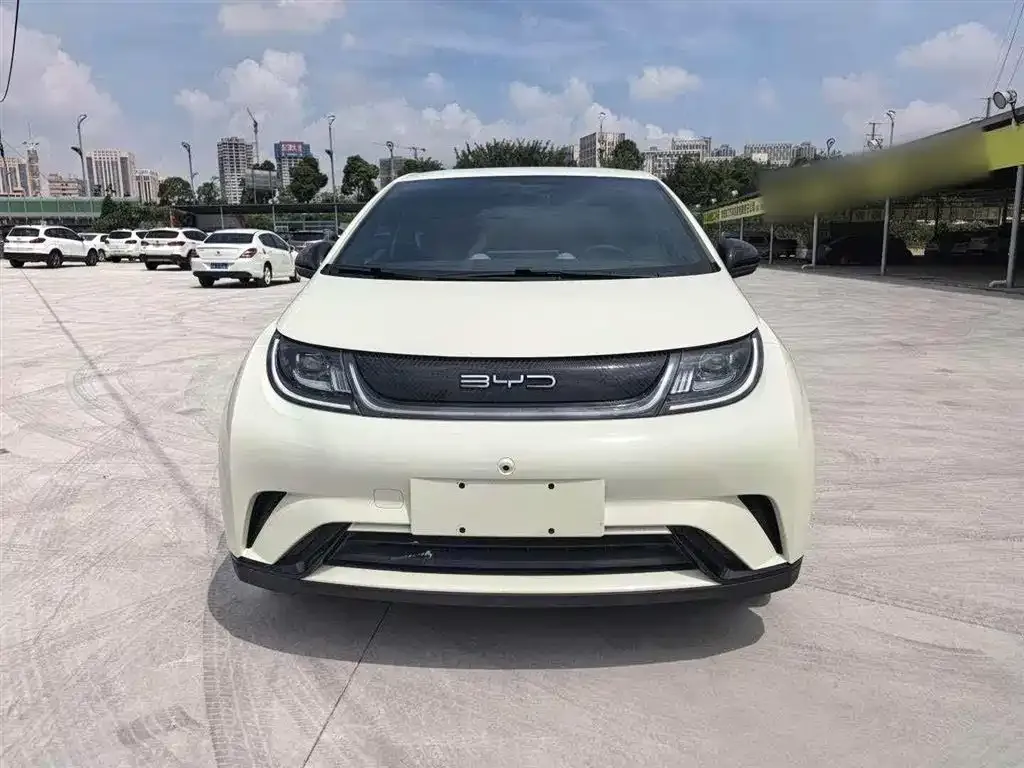 BYD Dolphin 2024 из CN, фото 3