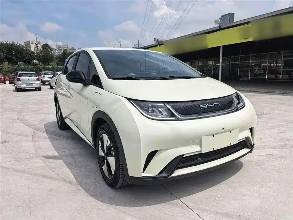 BYD Dolphin 2024 из CN, фото 4