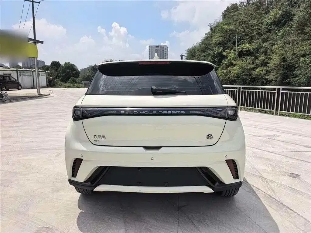 BYD Dolphin 2024 из CN, фото 6