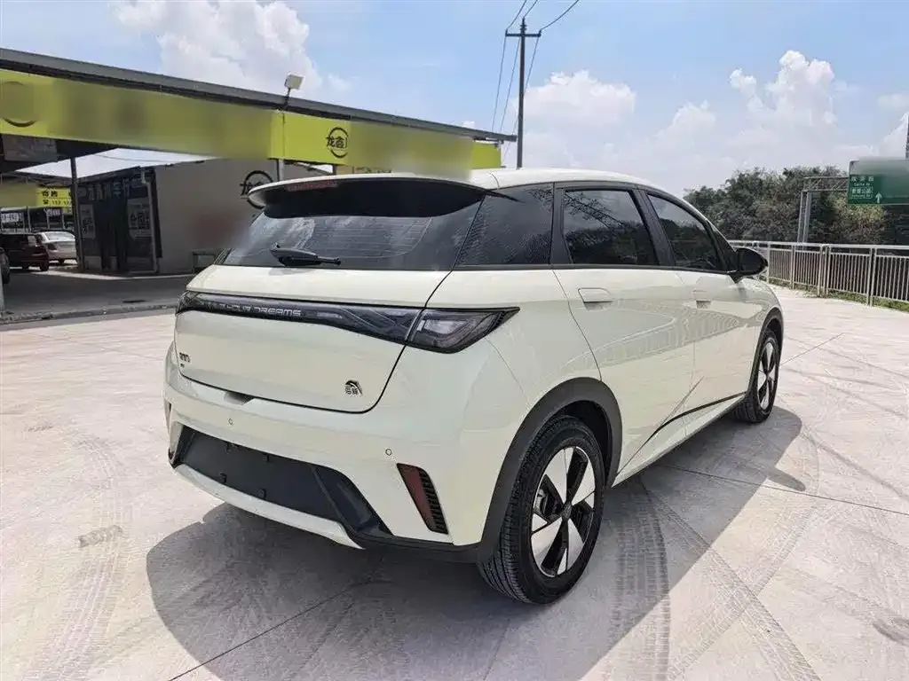 BYD Dolphin 2024 из CN, фото 7