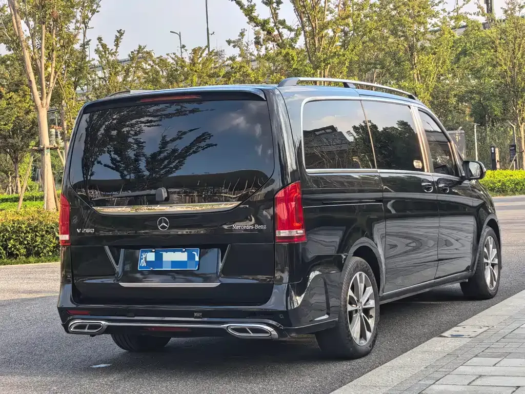 Mercedes-Benz V-Class 2021 из CN, фото 6