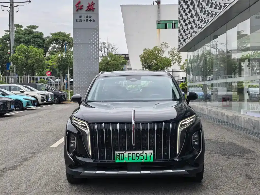 Hongqi HS7 PHEV 2024 из CN, фото 2