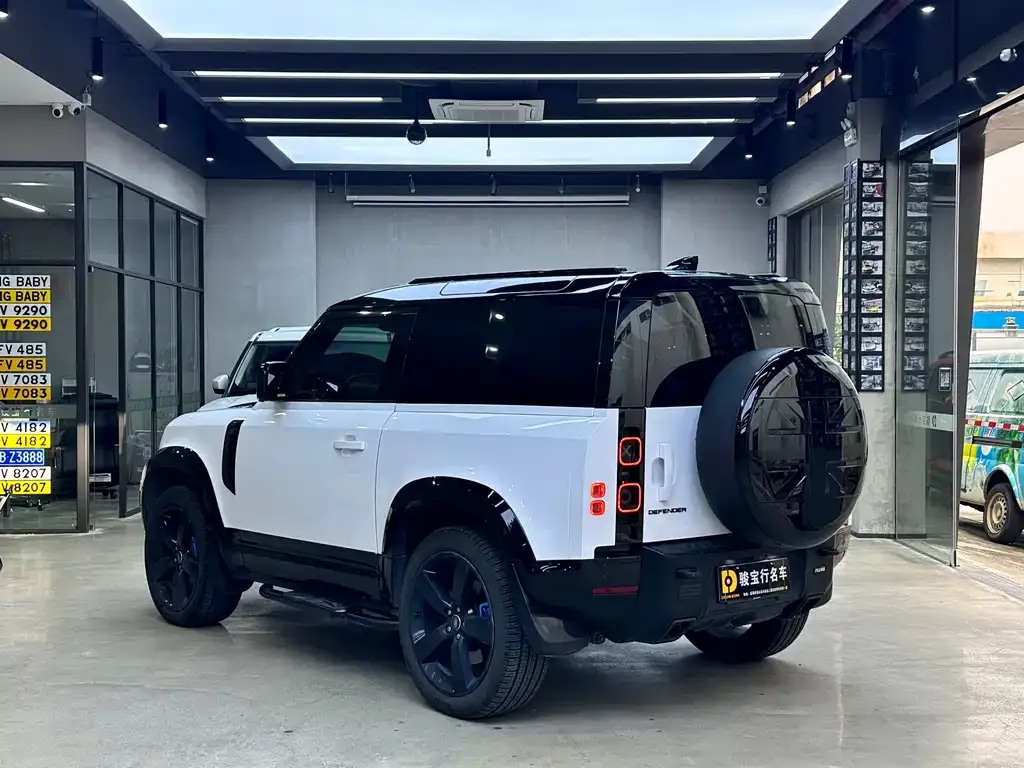 Land Rover Defender 2021 из CN, фото 6