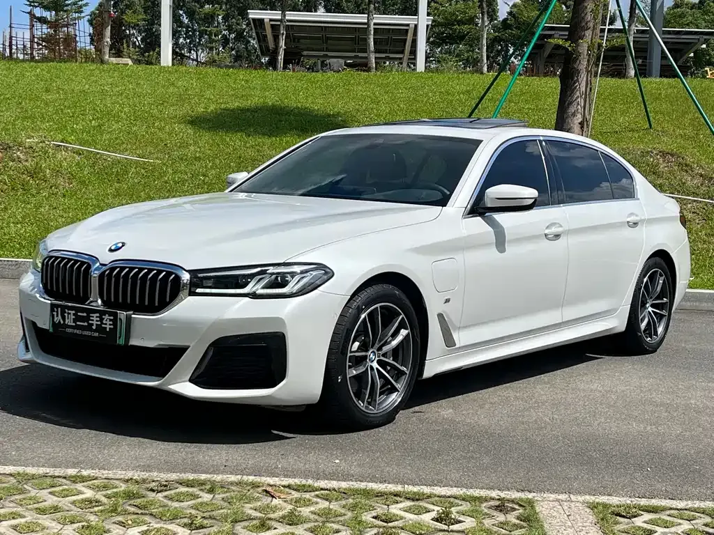 BMW 5 Series New Energy 2021 из CN, фото 1