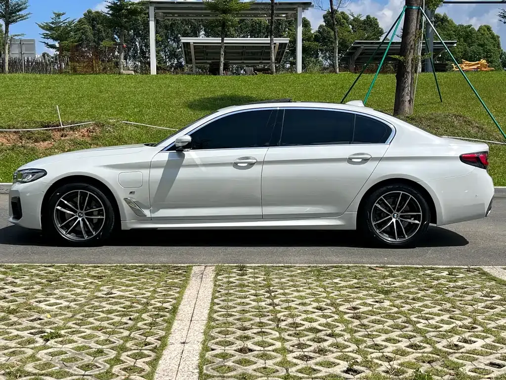 BMW 5 Series New Energy 2021 из CN, фото 10