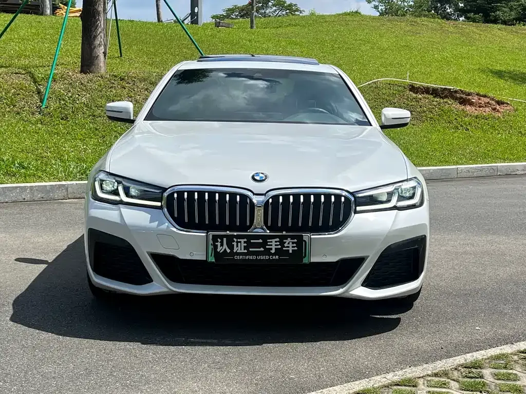 BMW 5 Series New Energy 2021 из CN, фото 2