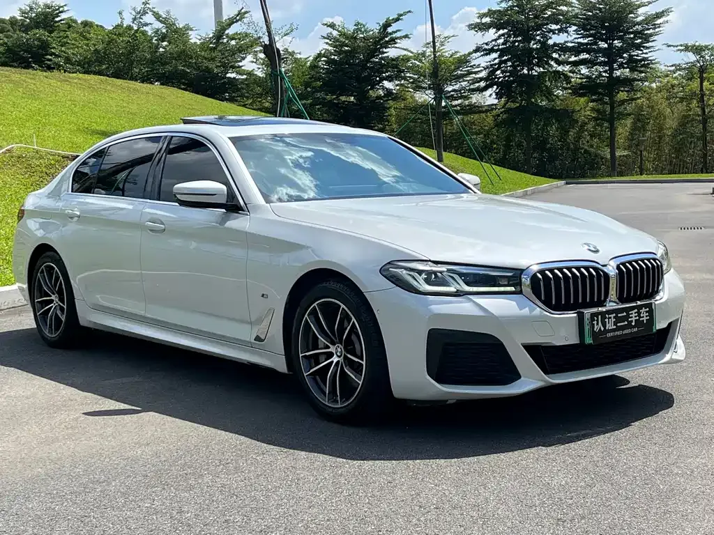 BMW 5 Series New Energy 2021 из CN, фото 3