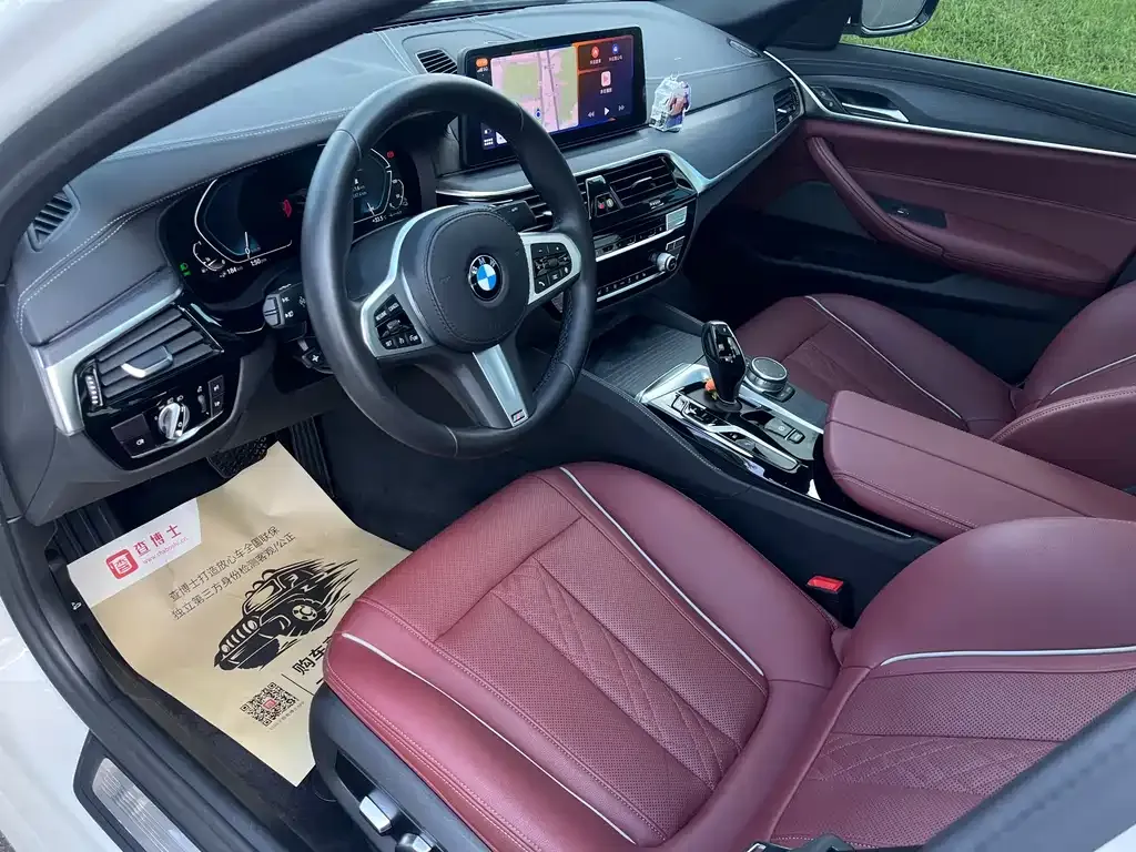 BMW 5 Series New Energy 2021 из CN, фото 4