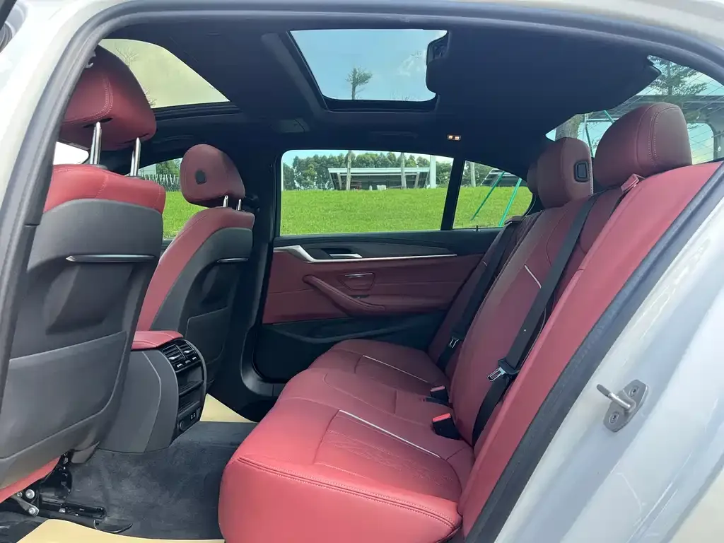 BMW 5 Series New Energy 2021 из CN, фото 5