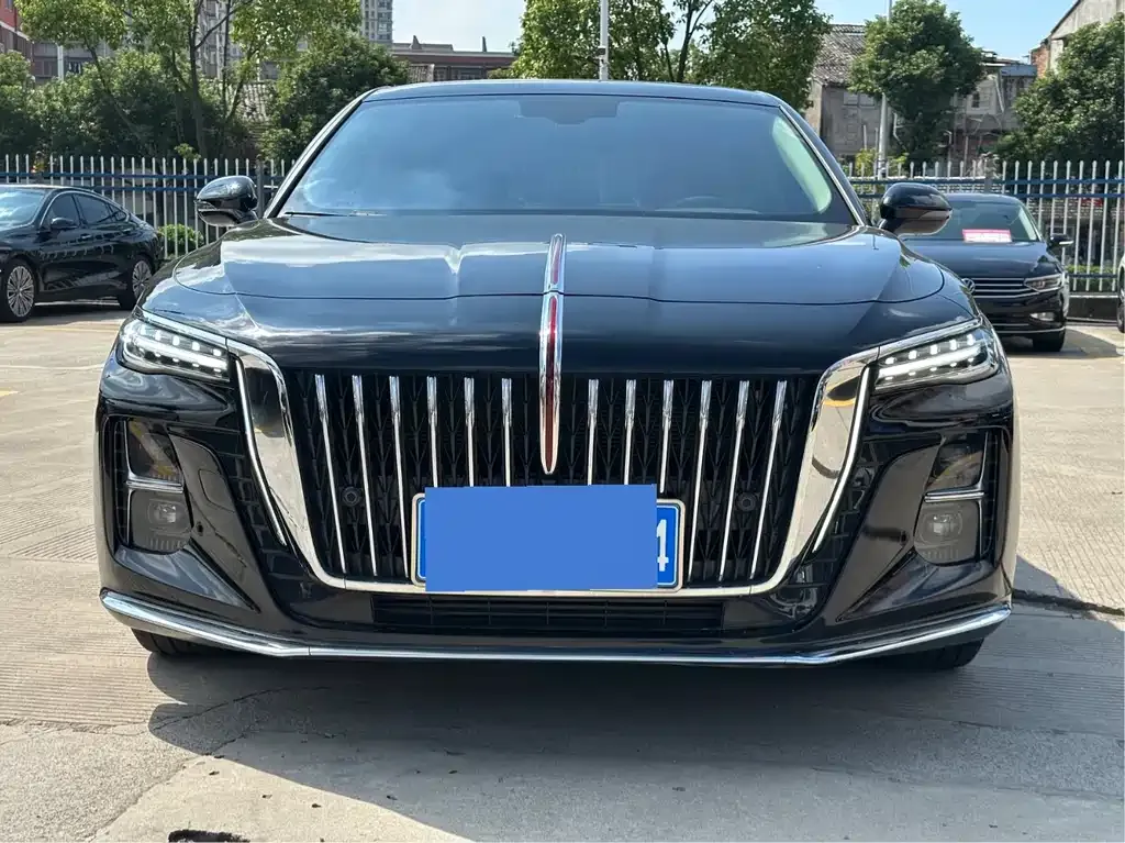 Hongqi H5 2024 из CN, фото 2