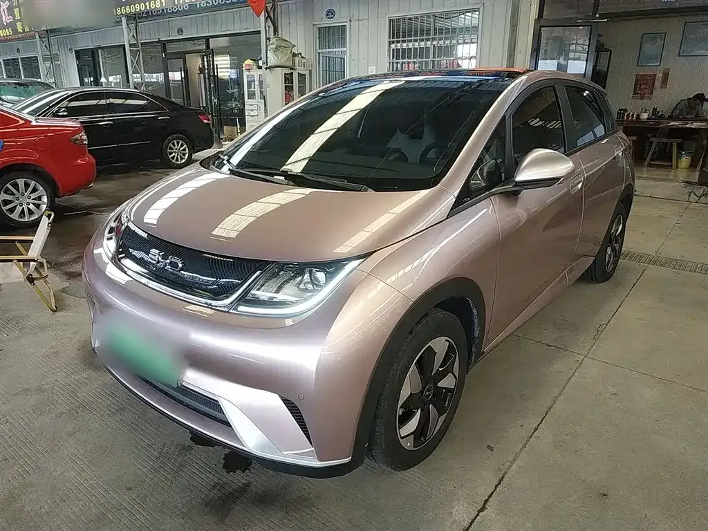 BYD Dolphin 2024 из CN, фото 2