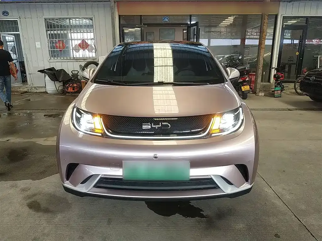 BYD Dolphin 2024 из CN, фото 3
