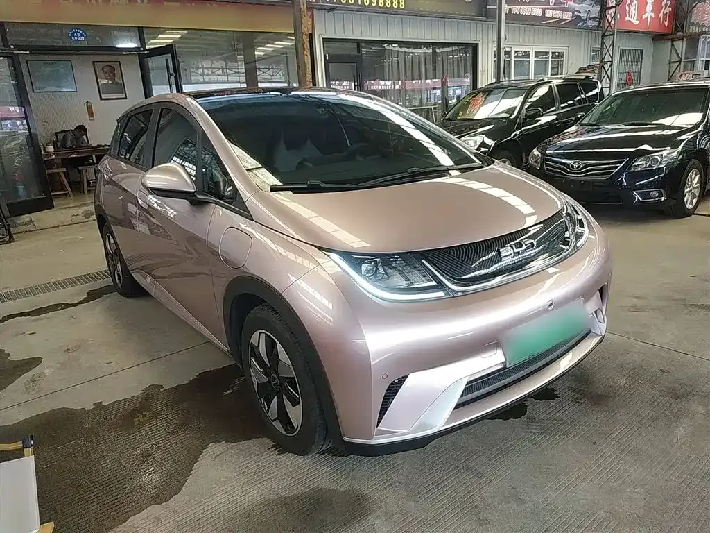 BYD Dolphin 2024 из CN, фото 4