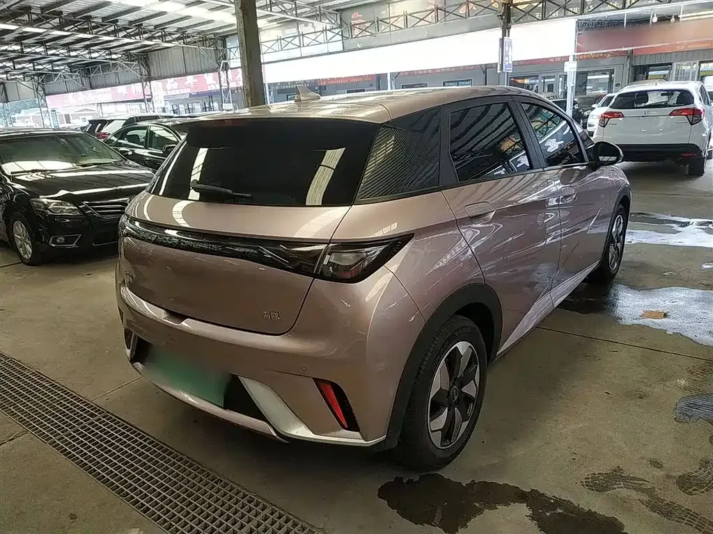 BYD Dolphin 2024 из CN, фото 7