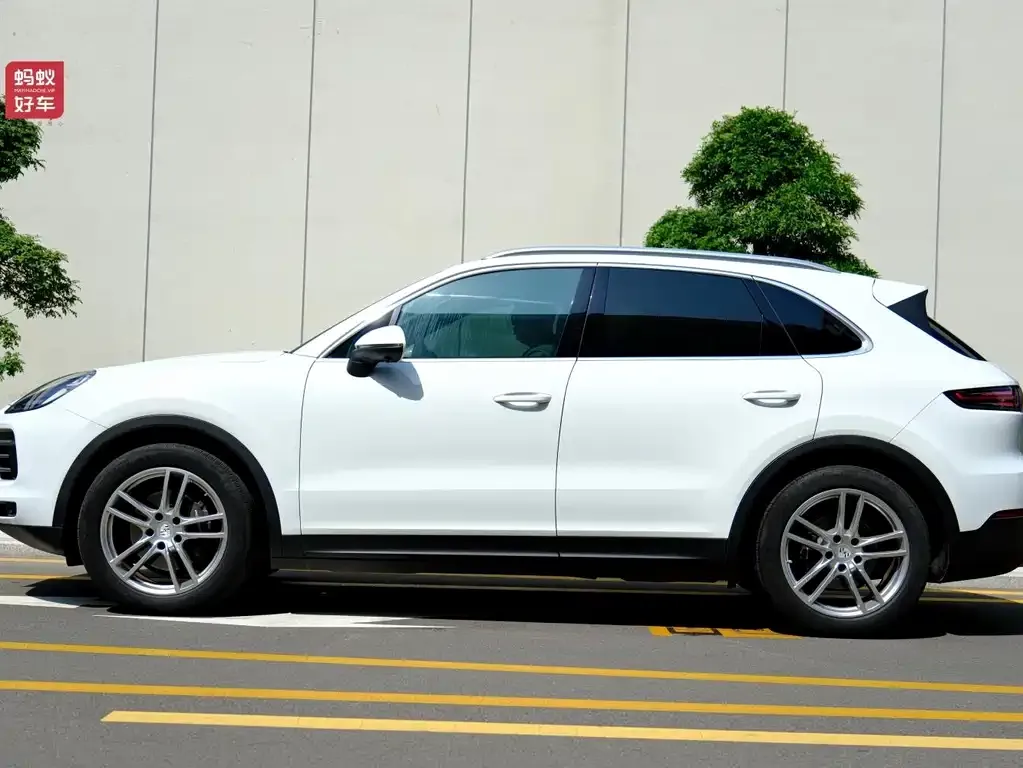 Porsche Cayenne 2022 из CN, фото 4