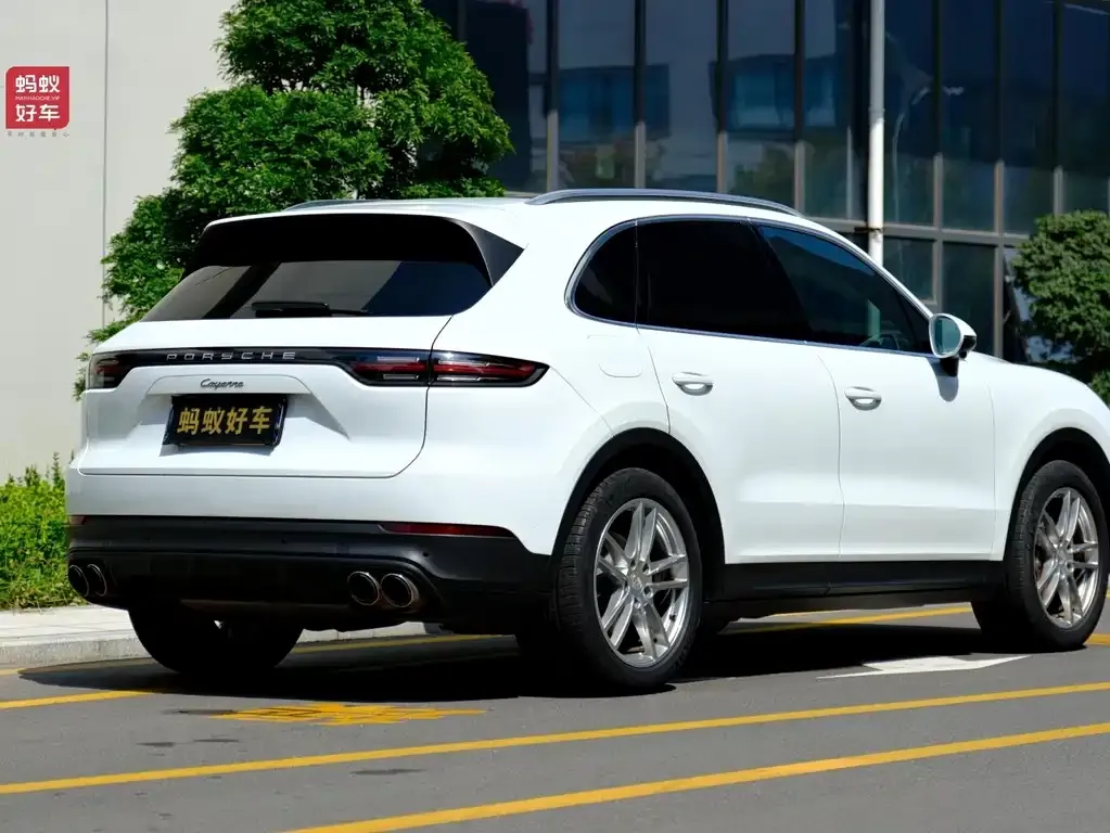 Porsche Cayenne 2022 из CN, фото 5