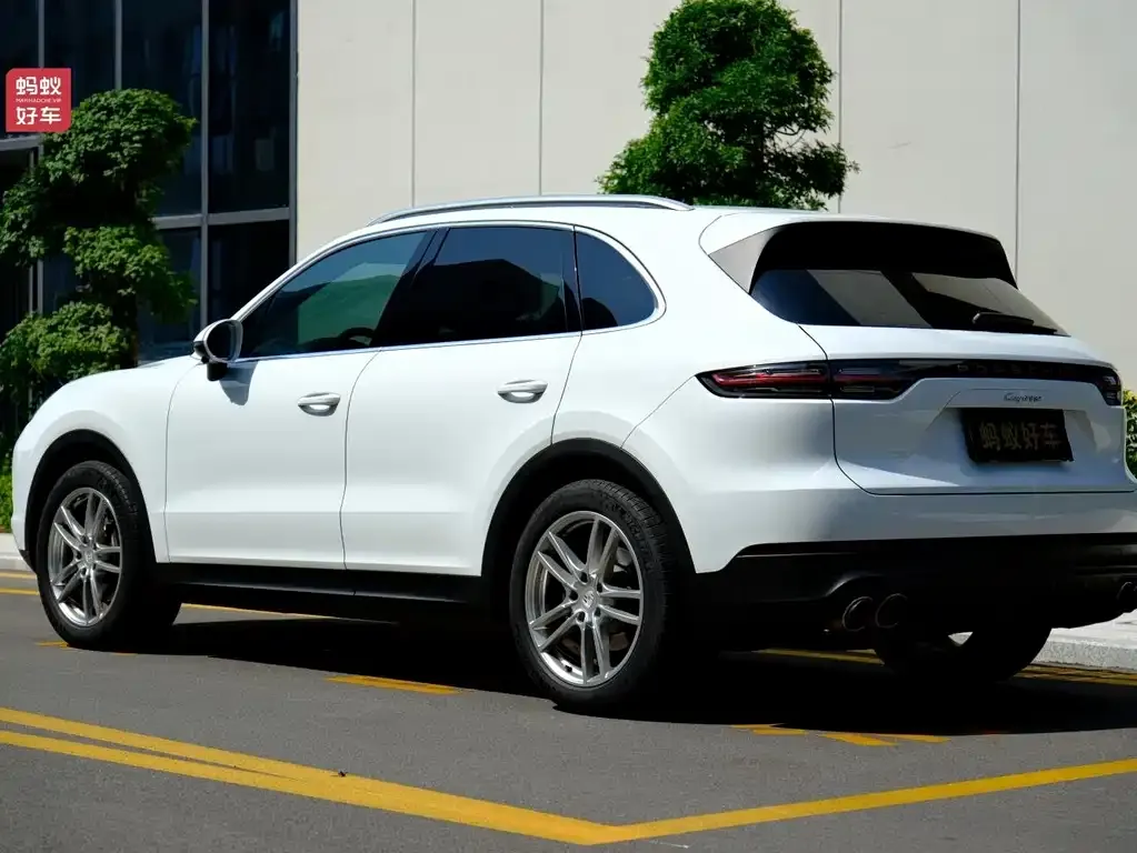 Porsche Cayenne 2022 из CN, фото 6