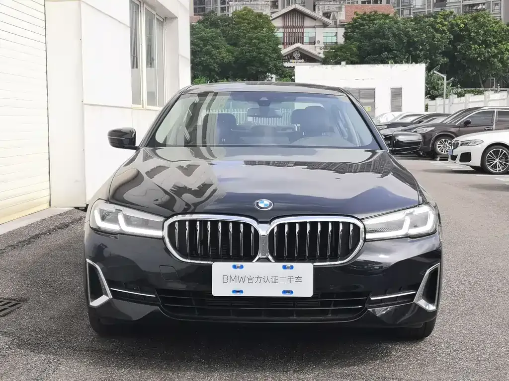 BMW 5 Series 2024 из CN, фото 2